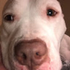 Meet your Posher, Kendall